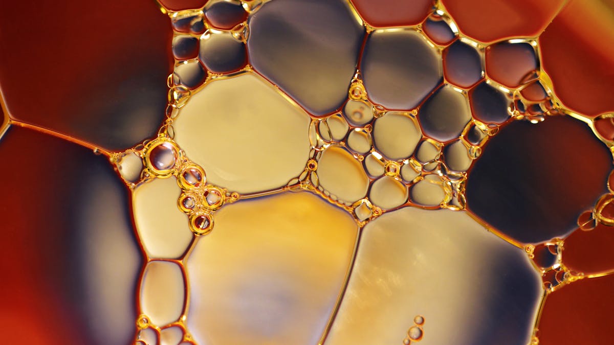 Colorful cellular automata grid showing emergent patterns from simple rules