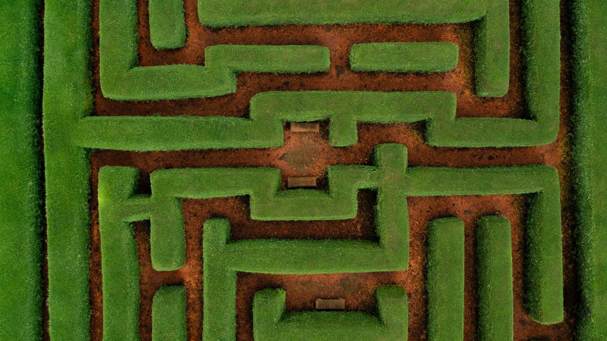 Space-filling Hilbert curve pattern rendered across an image creating intricate maze-like art