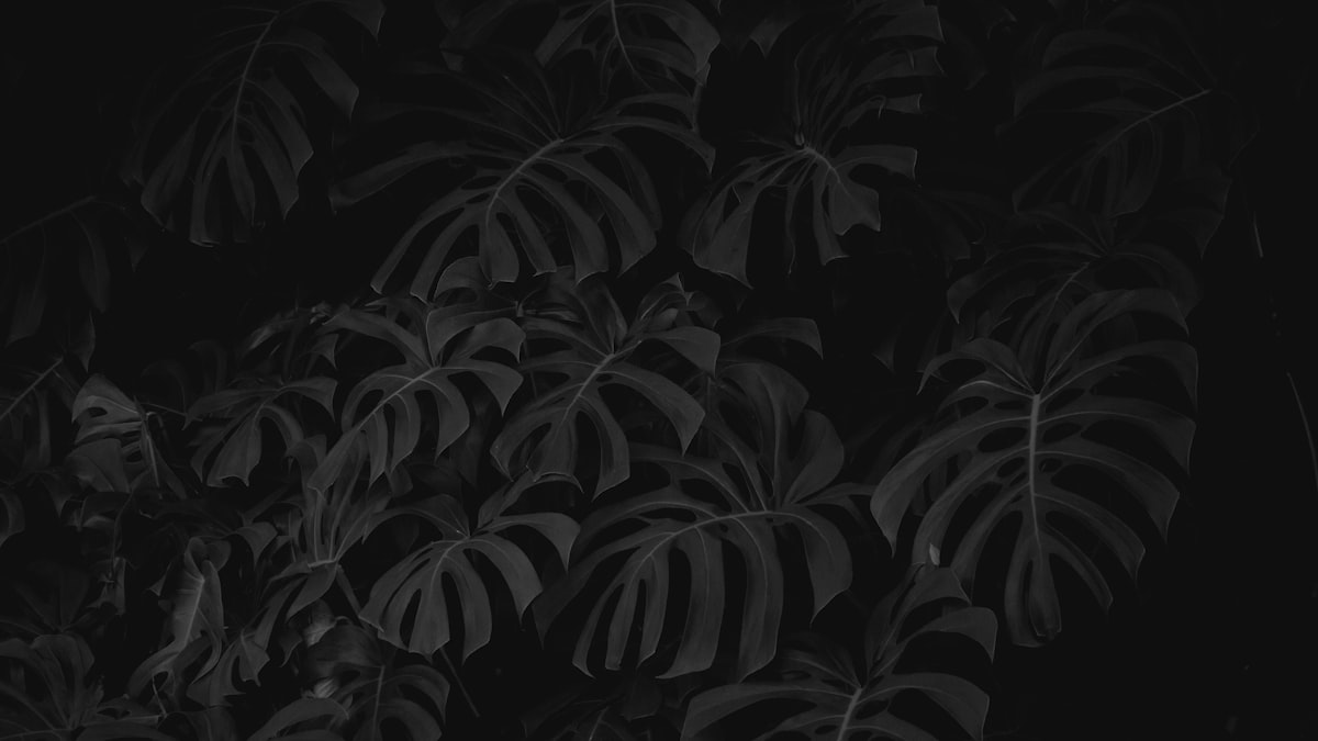 Classic halftone dot pattern close-up showing how printed images simulate continuous tones